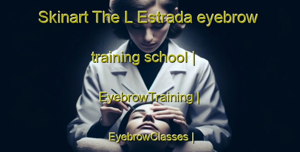 Skinart The L Estrada eyebrow training school | EyebrowTraining | EyebrowClasses | SkinartTraining-Spain